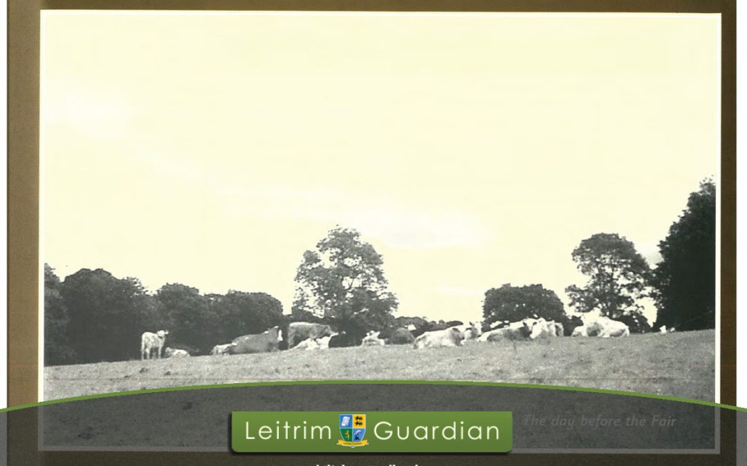 32 – Trees | LG2010