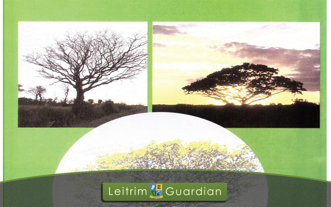84 – Year in the Life of a Tree | LG2002